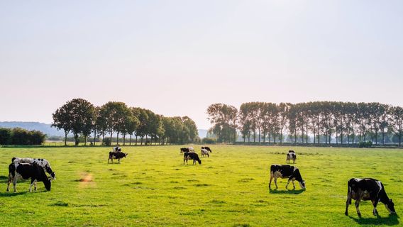 Pembangunan Cimory Dairyland di Kawasan Properti Milik Konglomerat Eka Tjipta Widjaja Ditargetkan Rampung di 2023