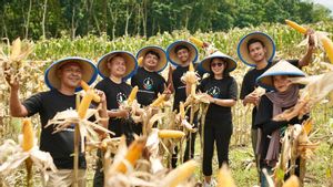 Mekar Asta Nusantara Dorong Pertanian Berkelanjutan lewat Panen Perdana Agroforestri di Jember
