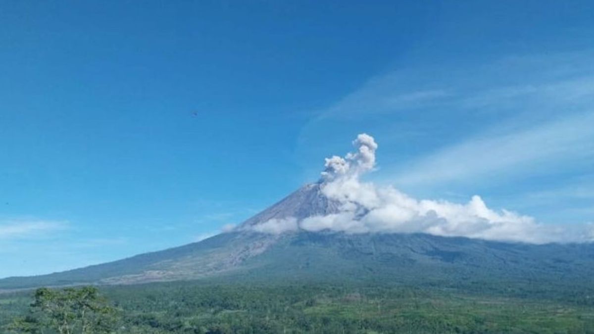 Gunung Semeru Empat Kali Erupsi dengan Letusan hingga Setinggi 800 Meter