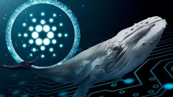 Crypto Whale Moves 19.5 Billion Cardano (ADA), Potentially Rising Price