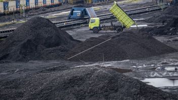 استكشاف الأسواق الأوروبية، بوكيت آسام يرسل مئات الأطنان من الفحم إلى إيطاليا