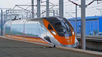 Fast Train Route Will Be Connected To Surabaya, Coordinating Minister For Maritime Affairs Ready To Report Studies To Jokowi