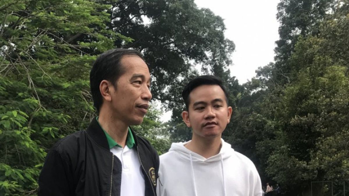 Allegations Of The 2024 Pilkada To Smooth Out Jokowi's Preparation For Gibran In The Jakarta Gubernatorial Election Are Considered Speculative