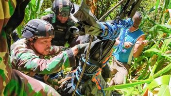 Berita Kriminalitas: KKB Serang Nakes Hingga Tewas, Perlindungan Pemerintah Dipertanyakan