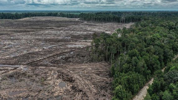 グローバルな紛争、気候変動、不適切な食品団地:インドネシアは食糧危機の脅威に直面している