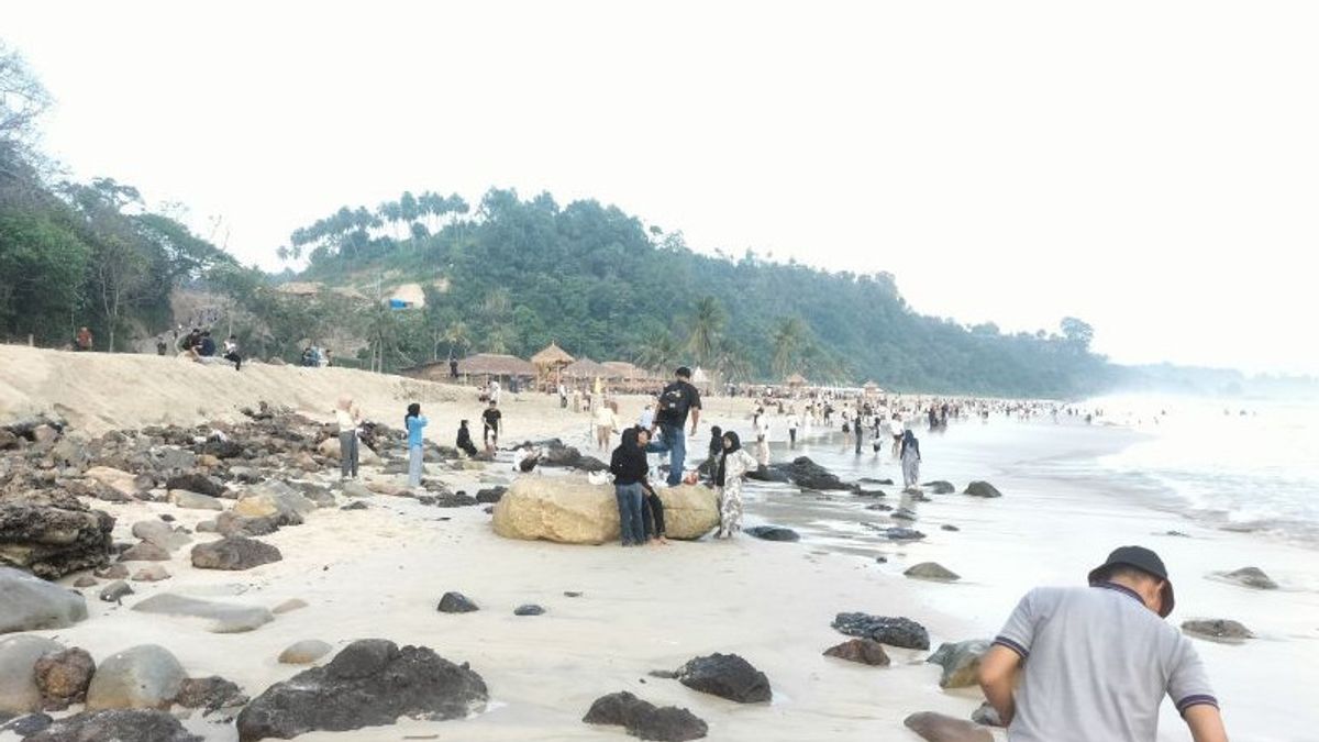 Dispar Says Rio Lampung Beach Manager Lalai Follows Tourists' Death In The Waves