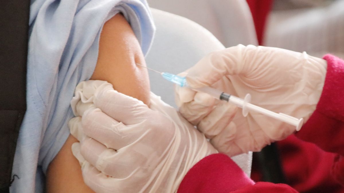 Klaim Permintaan Warga, Anggota DPR Ini Desak Pemerintah Siapkan Vaksin Halal