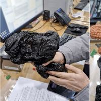 Nasabah, Karyawan dan Sekuriti Bank Gagalkan Perampokan dengan Pistol Air