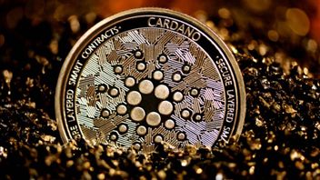 卡尔达诺宣布下周推出Djed稳定币