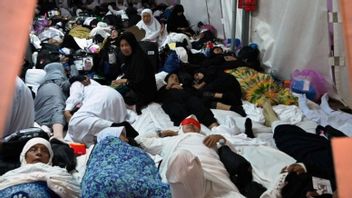 The House Of Representatives' Hajjwas Team Highlights Tents Of Hajj Pilgrims Similar To Refugee Barracks, There Are No Restrictions On Men/Women