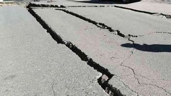 زلزال M 5.3 مالانغ ، BPBD: لم تكن هناك تقارير عن أضرار في جيمبر ولوماجانج