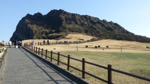 Otoritas Jeju Pertegas Tindakan Penertiban untuk Lindungi Kerucut Vulkanik dari Kerusakan