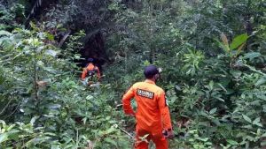 Guyuran Hujan Jadi Kendala SAR Temukan 2 Pencari Emas yang Hilang di Hutan Bengkulu