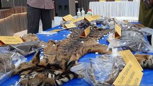 Father-son Defendant Of Tiger Skin Seller In Aceh Sentenced To 16 Months In Prison