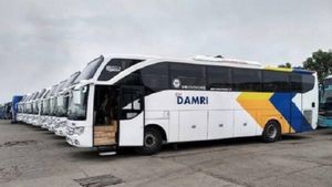 Damri Boss Finds Fraud Indications In Perum PPD After Merger: Potential Losses Reaches IDR 23.19 Billion