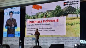 Danantara Targets IDR 81.54 Trillion Investment This Year