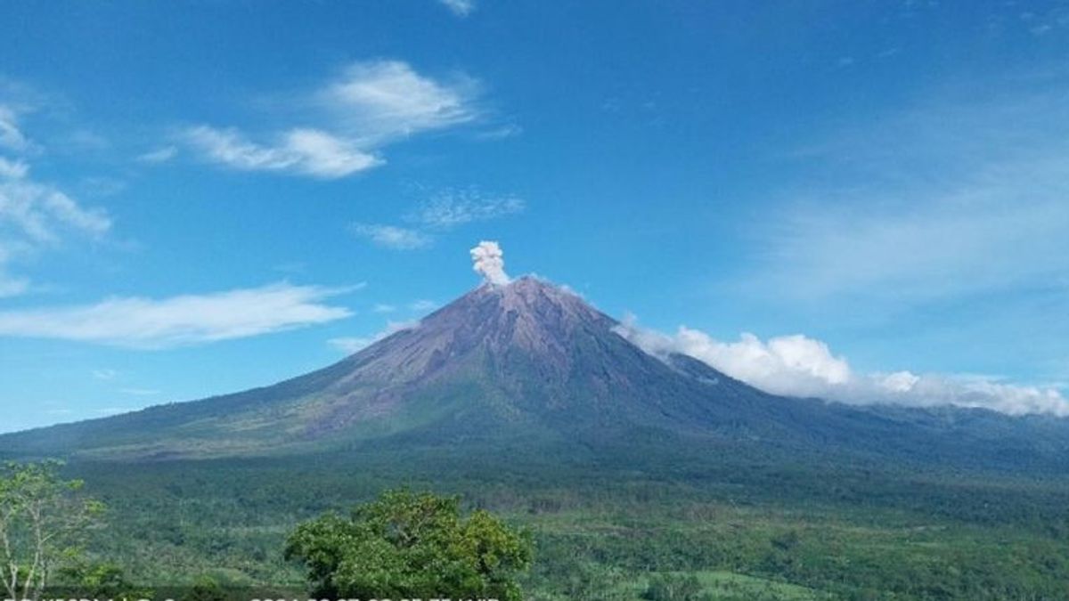 スメル山は1,000メートルの噴火高さで再噴火