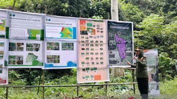 Illegal Mines in Lore Lindu National Park Closed, Endemic Sulawesi Animals Begin to Return Home