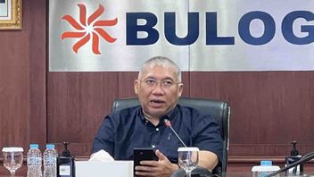 Causes Of Mahal And Rare Rice According To Bulog President Director: There Is An Increase In Rice Prices