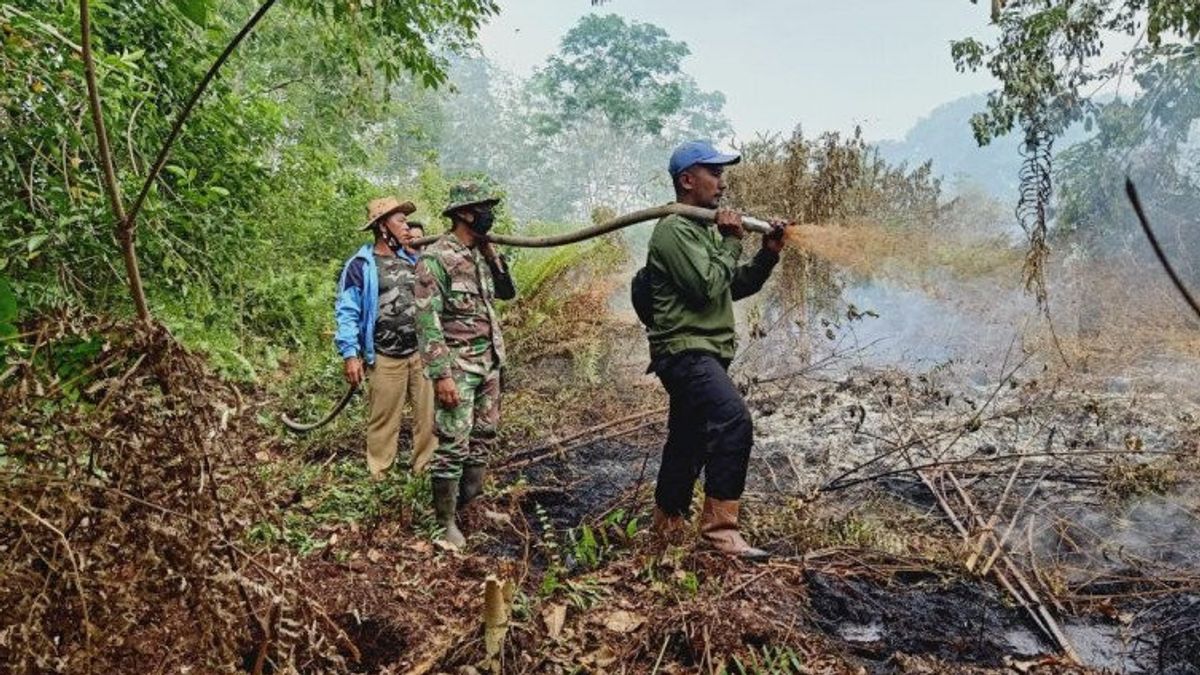 248 Hectares De Terrain à Riau Brûlés, Le Plus Grand à Bengkalis