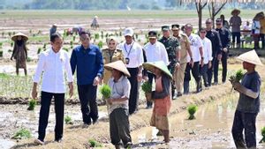 Masuk Musim Hujan, Jokowi Ingatkan Petani di Pekalongan Mulai Tanam Padi