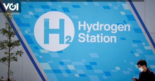 Indonesia's Rising Profile in Hydrogen Production: Harnessing Renewable Resources for Economic Growth