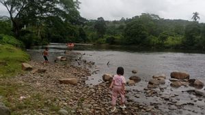 Nenek Khaminah Diduga Terjatuh Saat Cuci Sayuran di Tepi Sungai Hulu Batang Tebo Jambi, Tim Basarnas Masih Lakukan Pencarian