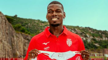 Paul Pogba Berharap Bisa Kembali ke Tim Nasional Perancis