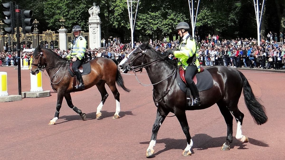 Pemimpin dan Bangsawan Dunia Hadiri Pemakaman Ratu Elizabeth II, Polisi London: Operasi Perlindungan Terbesar dalam Hampir 200 Tahun