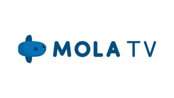 La plateforme de streaming vidéo Mola TV cessera de fonctionner le 31 décembre