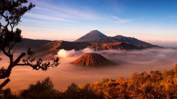 Tourists Visiting Mount Bromo During The Prophet Muhammad's Maulid Holiday Reaches 9,061 People