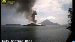 Anak Gunung Krakatau Erupsi, Abu Vulkanik Capai 450 Meter ke Atas