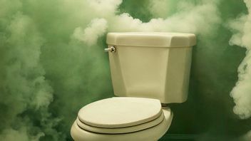 Dream Of Defecating In Pants: Can Be A Good Or Bad Sign