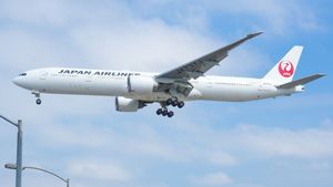 Masalah Mesin, Pesawat Japan Airlines Mendarat Darurat