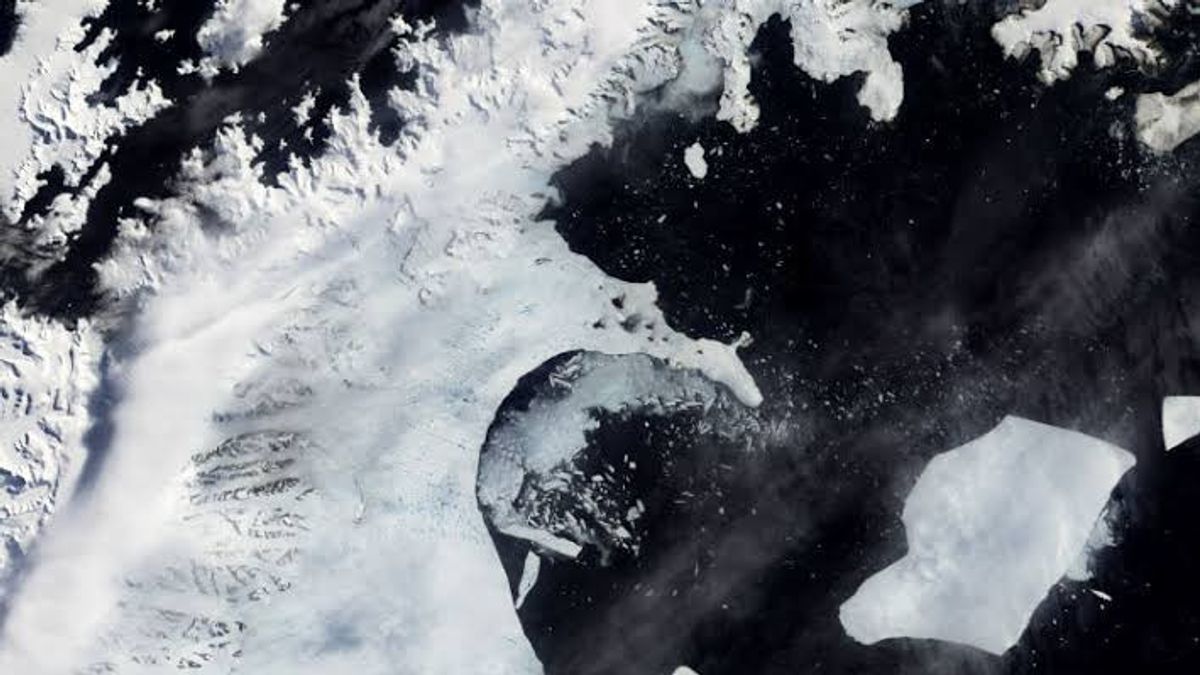 Lapisan Es Seukuran Kota New York Runtuh Tanpa Prediksi di Antartika Timur