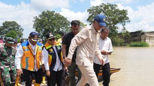 Tindaklanjuti Arahan Prabowo, Kementerian PU Segera Bangun Permanen Jembatan Way Bungur Lampung Timur