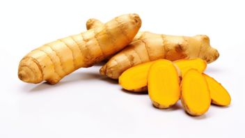 Amazing! Learn About Turmeric's Effects on the Kidneys, Its Benefits, and Potential Advantages