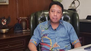 PPP Will Dismiss Cadres Involved In PPP Fighters Who Support Prabowo-Gibran