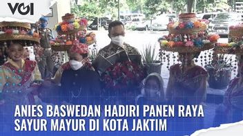 视频：Anies Baswedan和妻子在雅加达东部参加丰收