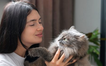 Menurut Dokter Hewan, Begini 7 Cara Menjaga Kesehatan Kucing Kesayangan