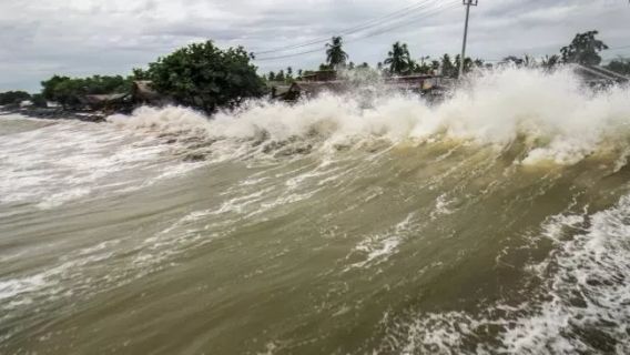 BMKG Early Warning: Beware Of Waves As High As 6 Meters In The North Natuna Sea