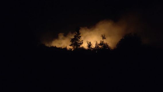 15 Hectares De Terres à Ogan Ilir Sumsel Brûlées