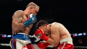 Jake Paul Bernafsu Tantang Canelo Alvarez
