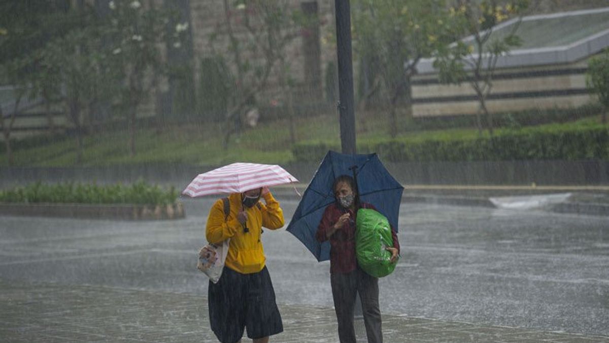 Peringatan Dini BMKG: Hujan Lebat Disertai Angin Kencang Landa Beberapa Wilayah di Indonesia