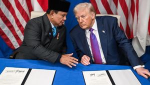 Pemerintah Pastikan Data Pribadi WNI Aman dalam Perjanjian Dagang dengan Amerika Serikat