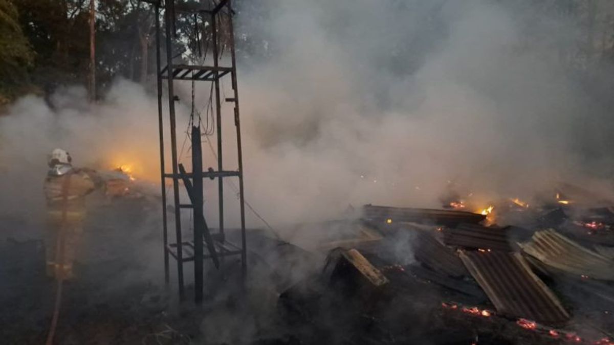 Ribuan Ayam Terpanggang Akibat Kebakaran Peternakan di Semarang