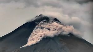 Awan Panas Gunung Merapi Meluncur Sejauh 1,5 km