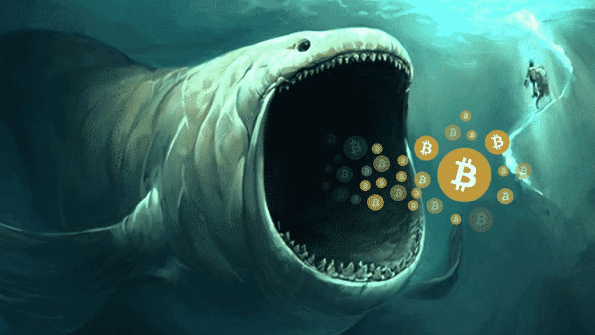 Whale Bitcoin Mulai Nyerok 1.750 BTC Jelang Peluncuran ETF di AS