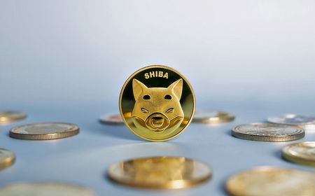 Biaya Transaksi Shiba Inu Melonjak 1.036%, Ini Penyebabnya!