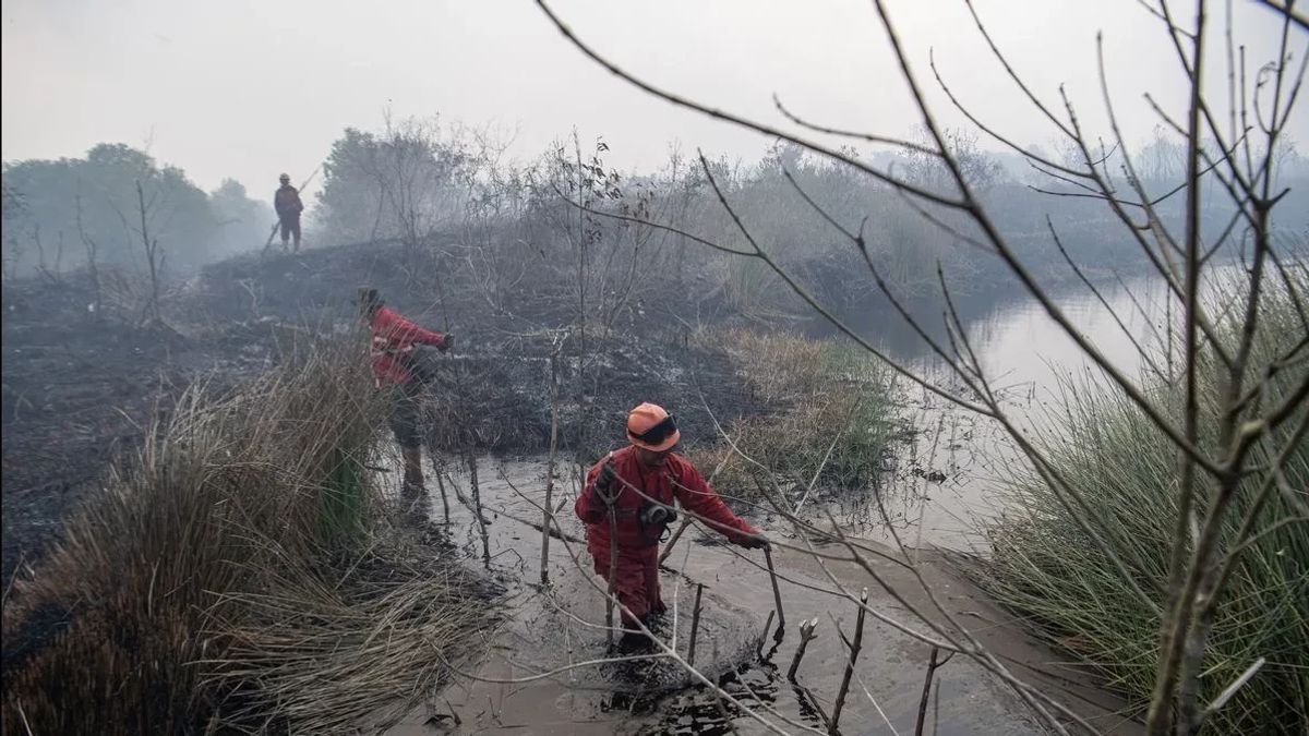 Prosecutor's Office Receives 25 SPDP For Forest And Land Fire Cases In South Sumatra, Most Of The OKI Regions